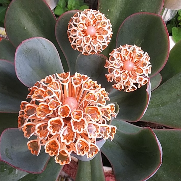 Vintage Enamel Flower Cluster Brooch Earrings Set - Picture 5 of 10
